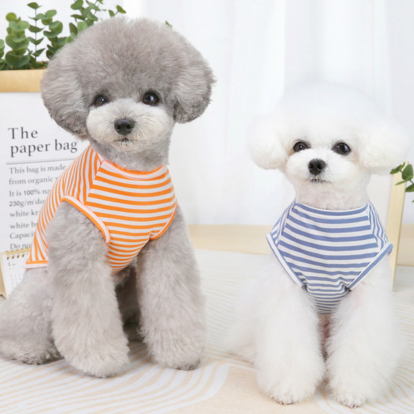 Lilletrükiga triibuline pluus koertele