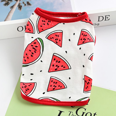 Riided koertele – aplikatsioonidega