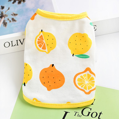 Riided koertele – aplikatsioonidega