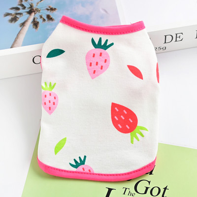 Riided koertele – aplikatsioonidega