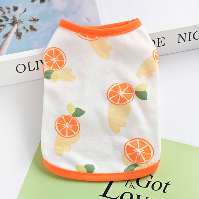 Riided koertele – aplikatsioonidega