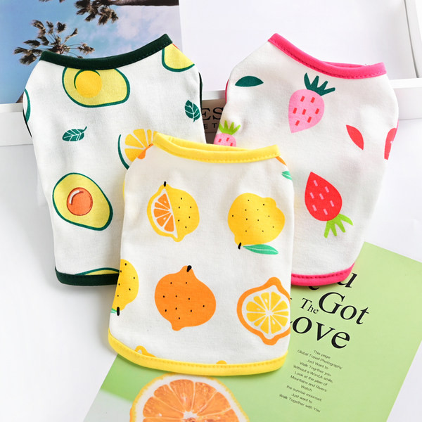 Riided koertele – aplikatsioonidega