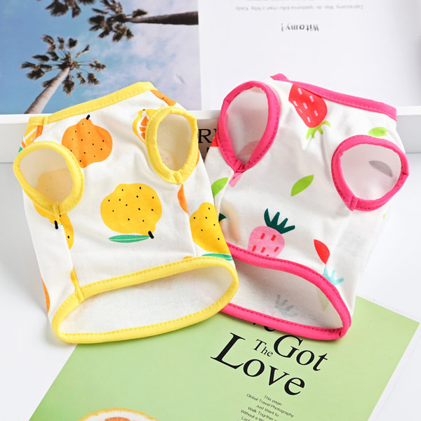 Riided koertele – aplikatsioonidega