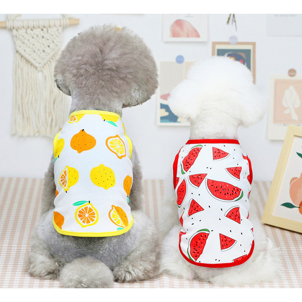 Riided koertele – aplikatsioonidega