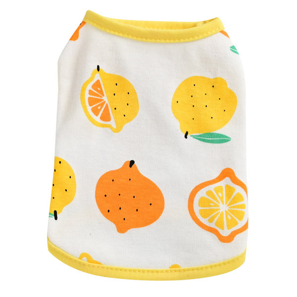 Riided koertele – aplikatsioonidega