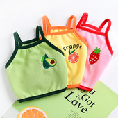 Värviliste tikanditega suvised koerariided