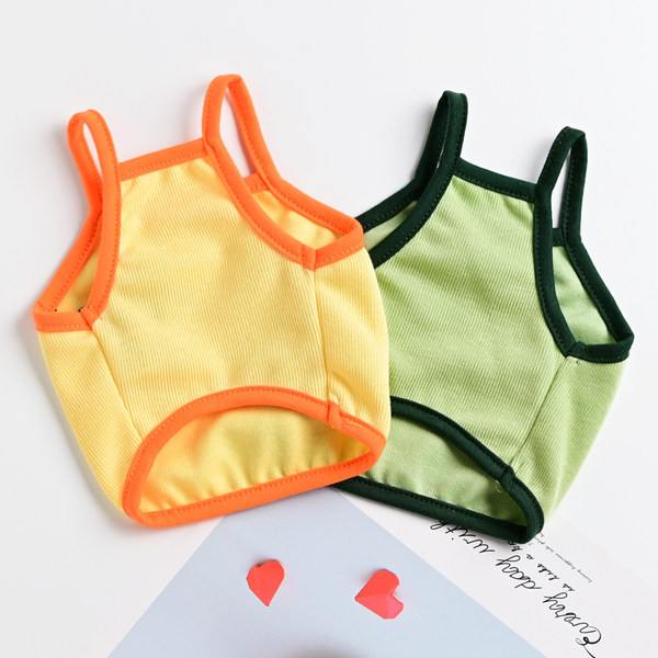 Värviliste tikanditega suvised koerariided