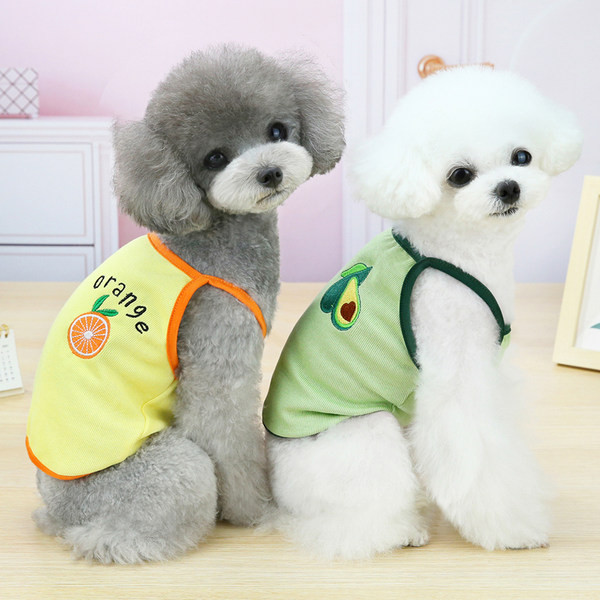 Värviliste tikanditega suvised koerariided