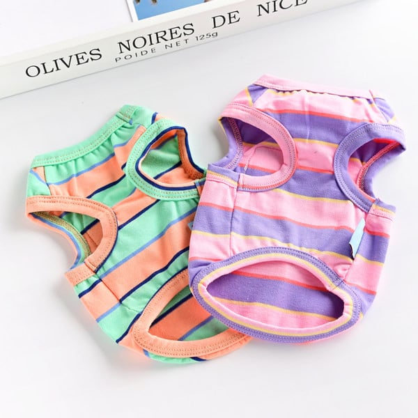 Triibuline tikandiga topp koertele