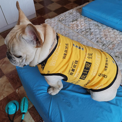 Trükiga pluus koertele