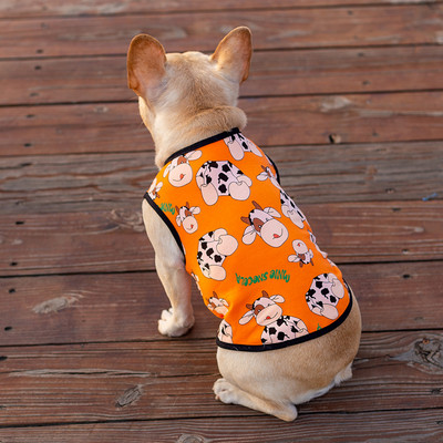 Trükiga pluus koertele