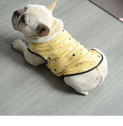 Trükiga pluus koertele