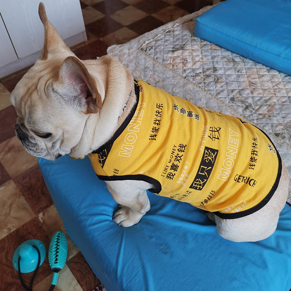 Trükiga pluus koertele