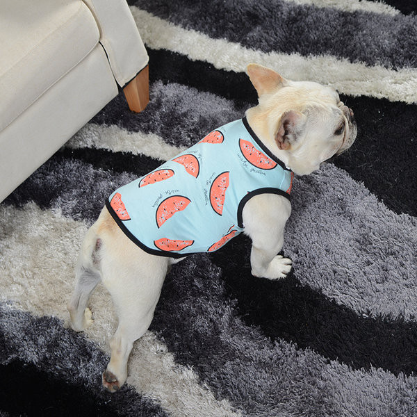 Trükiga pluus koertele