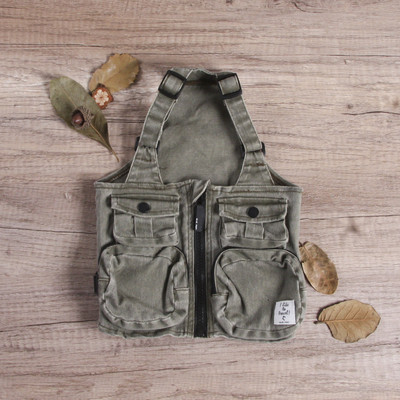 Vest või müts koertele