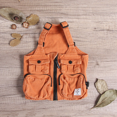 Vest või müts koertele