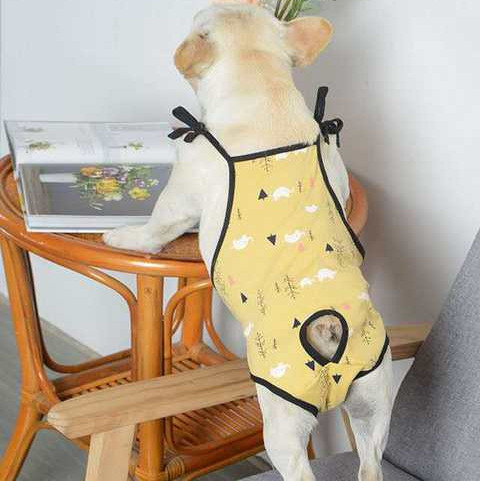 Puuvillane värvitrükiga kombinesoon koertele