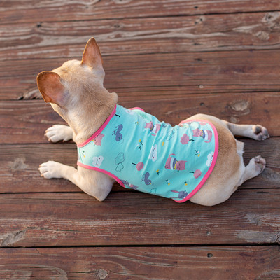 Moodne trükiga vest koertele