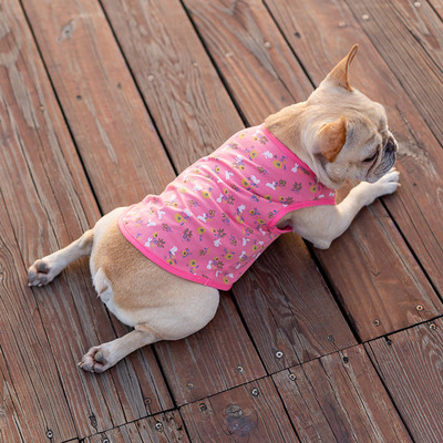 Moodne trükiga vest koertele