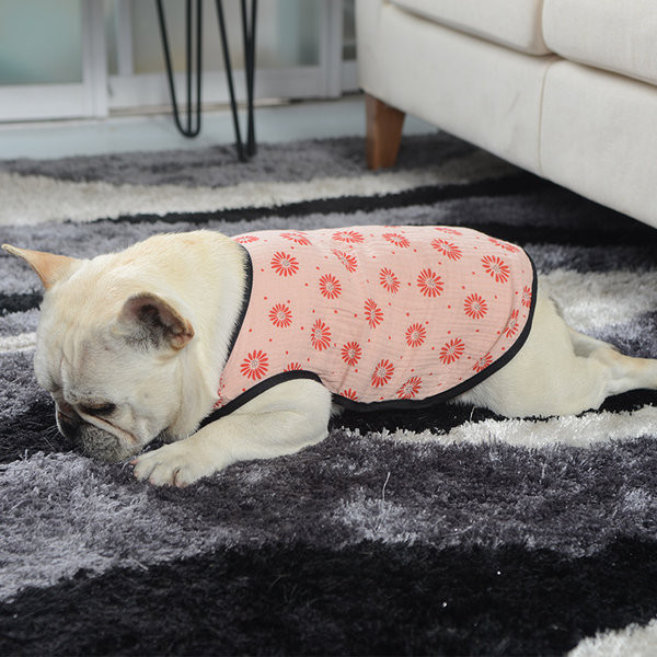 Stiilne trükiga vest koertele