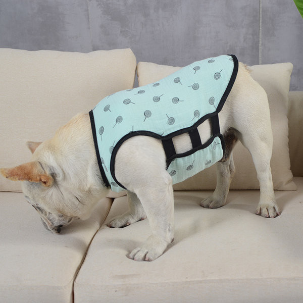 Stiilne trükiga vest koertele