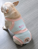 Sinised kombinesoonid koertele