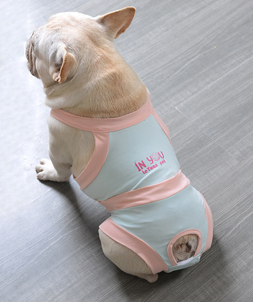 Sinised kombinesoonid koertele