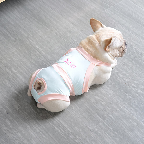 Sinised kombinesoonid koertele