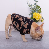 Moodne trükiga koerapluus