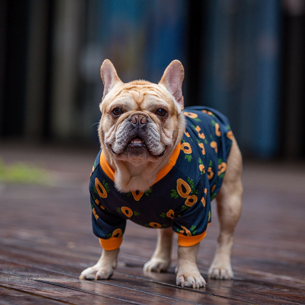 Kahes värvitoonis riided koertele