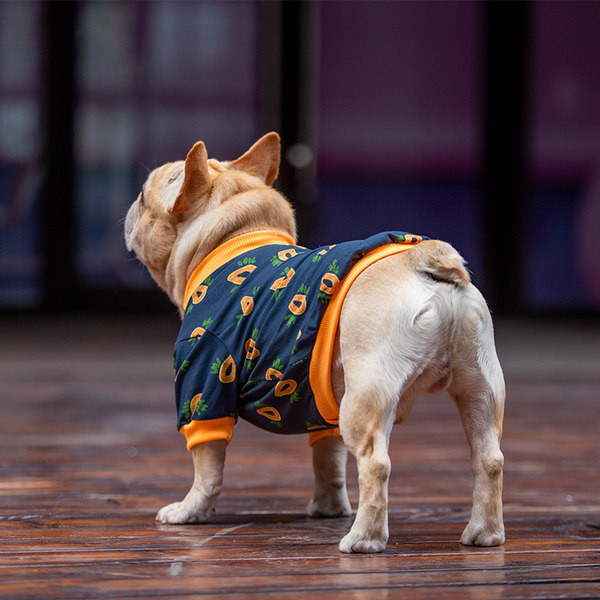 Kahes värvitoonis riided koertele