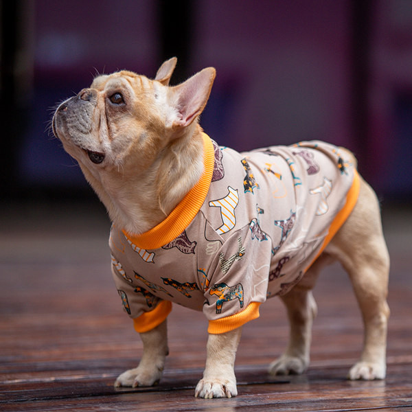 Kahes värvitoonis riided koertele