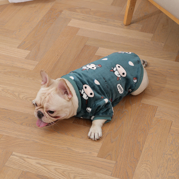 Moodne plüüsmantel koertele