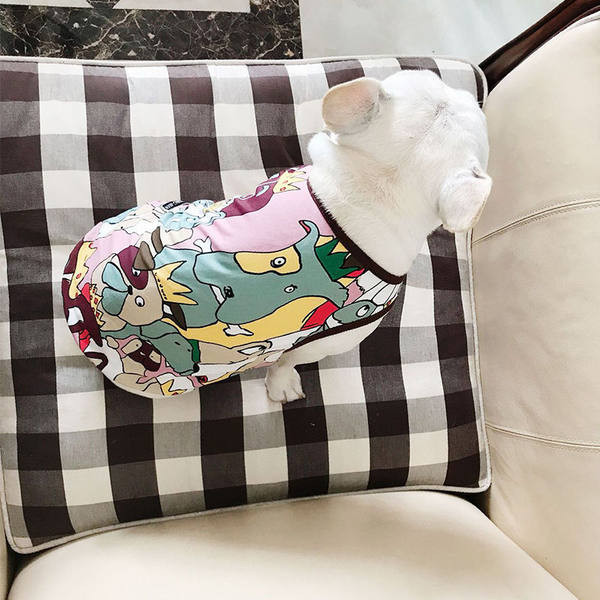 Moodne trükiga vest koertele