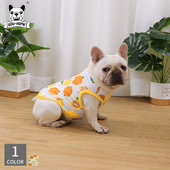 Värvilise trükiga vest koertele