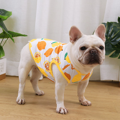 Värvilise trükiga vest koertele