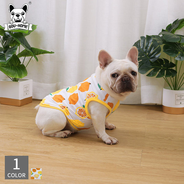 Värvilise trükiga vest koertele