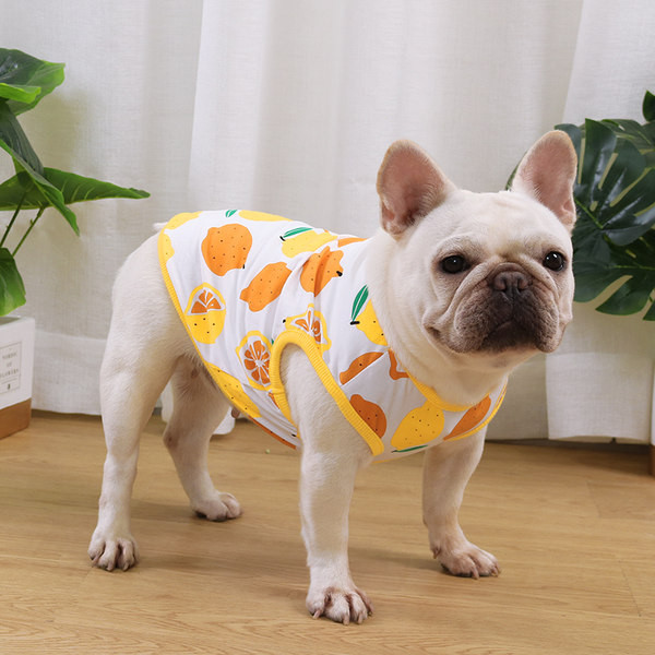 Värvilise trükiga vest koertele