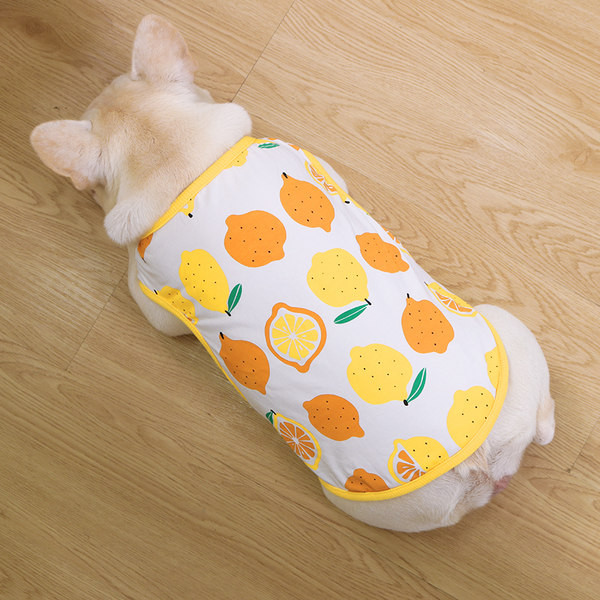 Värvilise trükiga vest koertele