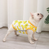 Värvilised koerariided