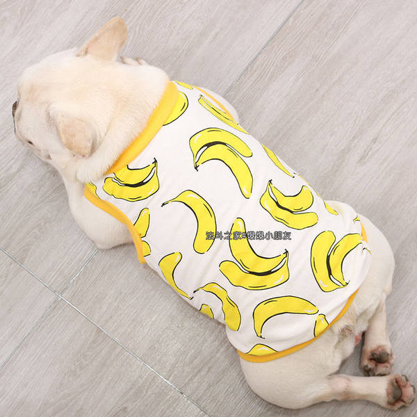 Värvilised koerariided