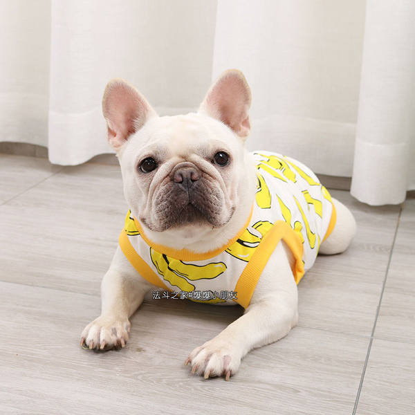 Värvilised koerariided