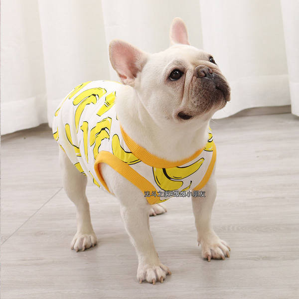 Värvilised koerariided