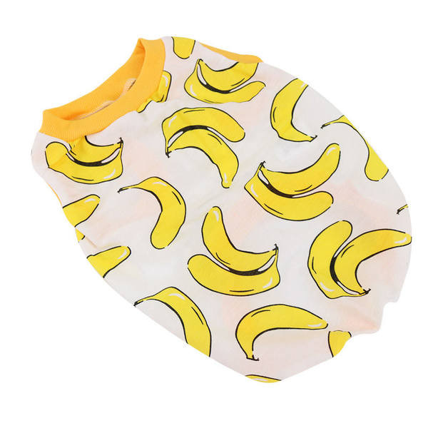 Värvilised koerariided