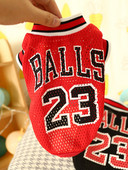 Praegune vest koertele ja kassidele kahes mudelis