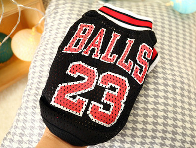 Praegune vest koertele ja kassidele kahes mudelis