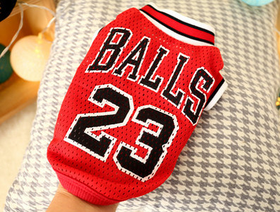 Praegune vest koertele ja kassidele kahes mudelis