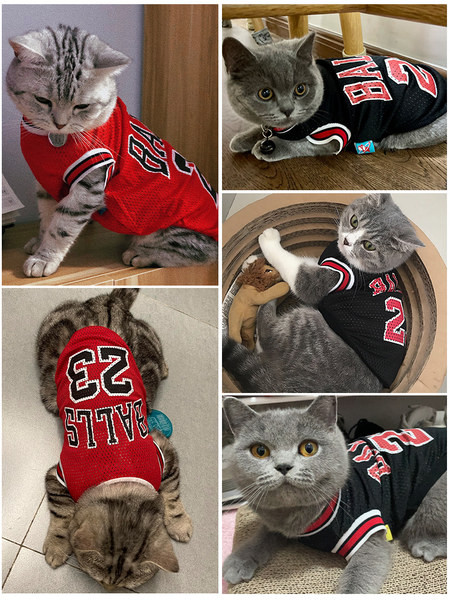 Praegune vest koertele ja kassidele kahes mudelis