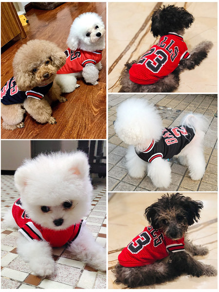 Praegune vest koertele ja kassidele kahes mudelis