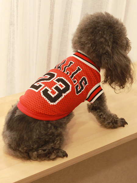 Praegune vest koertele ja kassidele kahes mudelis